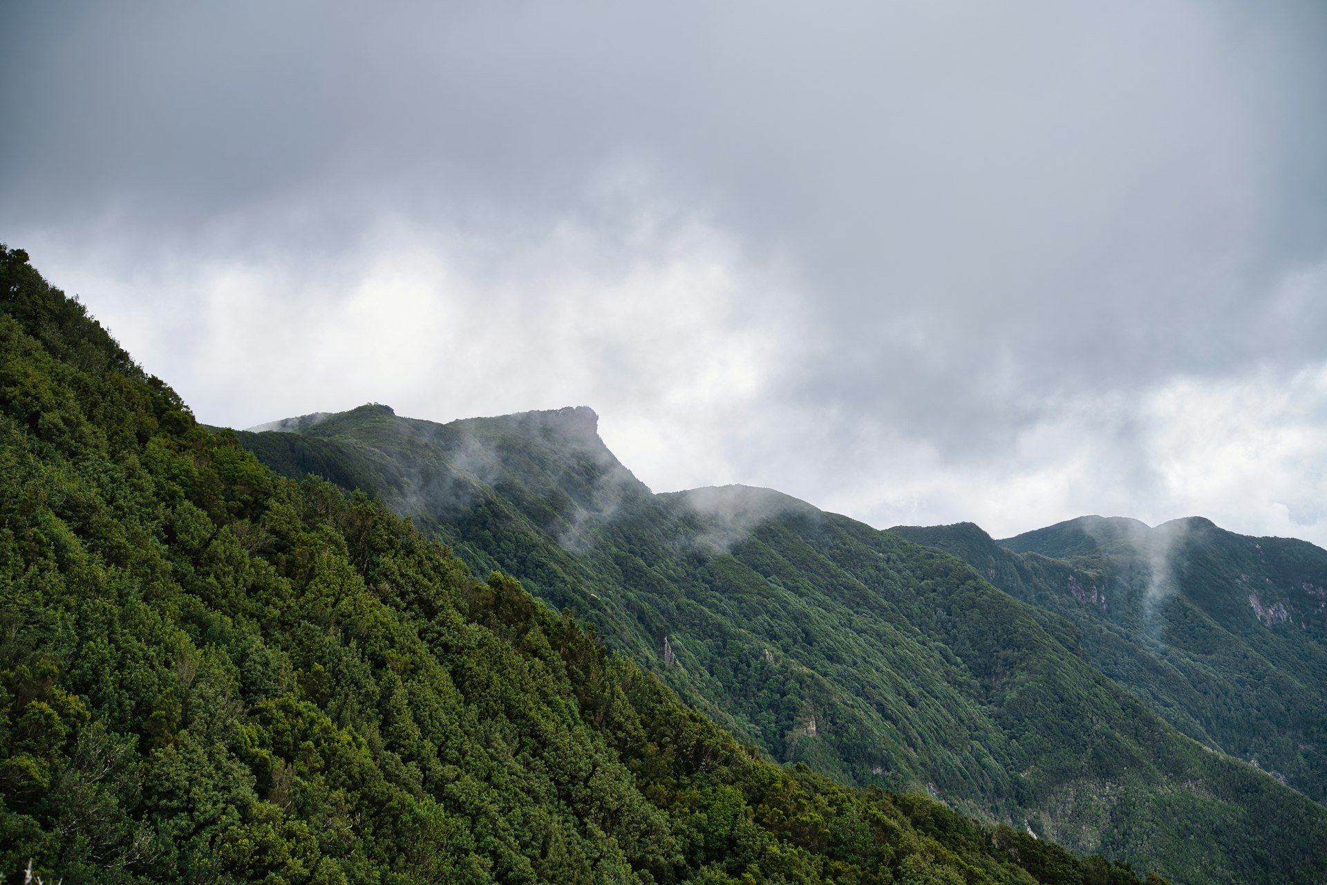 富良野の風景